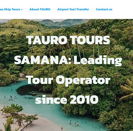 Web Designer Dominican Republic - Top Web Agency